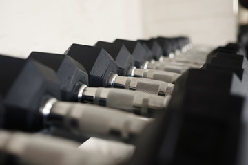 Naklejka premium A row of dumbbells.