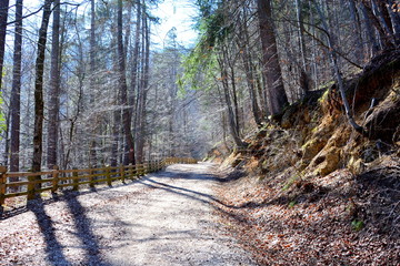 Road to the winter and touristic station Poiana Brasov, 12 km from Brasov, a town situated in Transylvania, Romania, in the center of the country