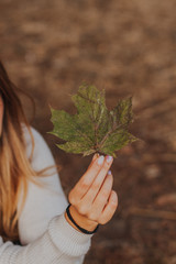 woman holding a plant in her hands