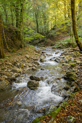 Curak creek near Skrad, Croatia