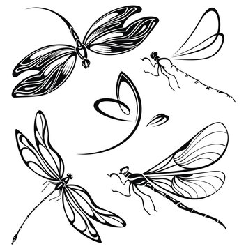 Dragonfly Drawing Images