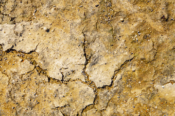 Arid lands.cracked earth. Texture of the crackled clay