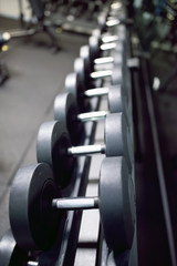 Dumbbells in a gym