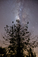 La v&iacute;a l&aacute;ctea con monta&ntilde;as, nevados, &aacute;rboles y m&aacute;s