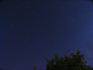 Sky full of stars at night