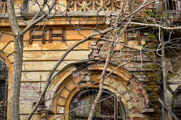 Old deserted house facade covered in arid ivy in autumn season