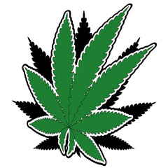 Vector illustration of leaves of marijuana cannabis hemp isolated