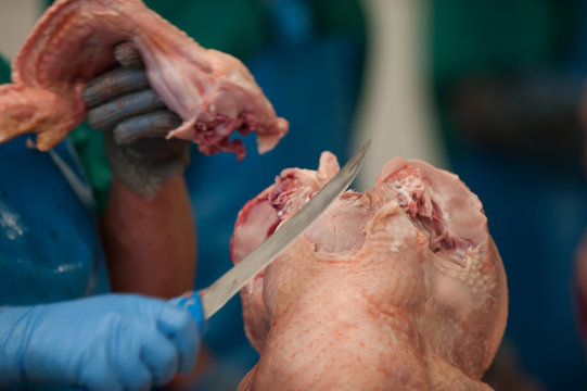  production processes taking place at a poultry farm where adult turkeys are grown from chickens, as well as processes for the production of meat products such as sausages, meat, sausages, other foоds