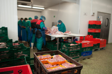  production processes taking place at a poultry farm where adult turkeys are grown from chickens, as well as processes for the production of meat products such as sausages, meat, sausages, other foоds