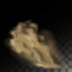 Cigarette smoke, cloud of dust, smell smog tornado. Dust cloud with particles. Realistic vector isolated on background air with dirt.
