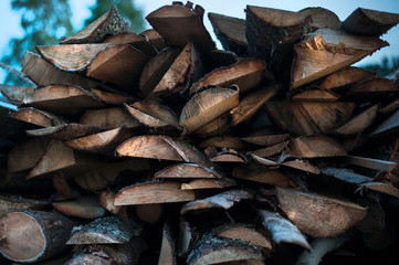 Wood
