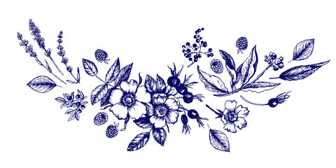 Graphic composition with botanical sketches.