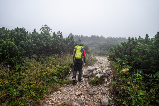 Hiker walking or trekking on a gravel path surrounded with mountain bushes and small trees. Misty path through mountain landscape. Mountain trail in a fog.