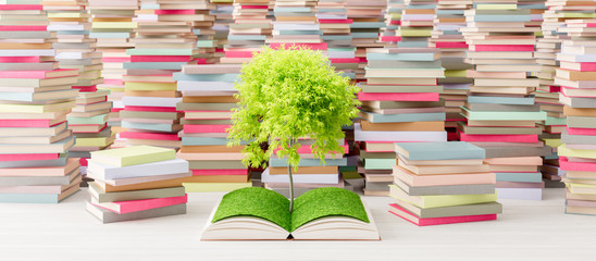 Tree growing from open book in Library, Knowledge concept 3d render 3d illustration