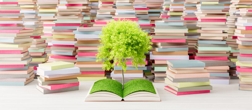 Tree growing from open book in Library, Knowledge concept 3d render 3d illustration