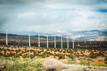 Obraz premium Palm Springs Windmills