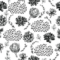  Graphic pattern with succulents
