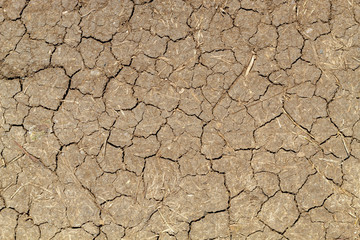 Dried Cracked Soil Texture Top View