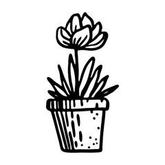 Flower in a pot. Single contour flower isolated on white background. Hand drawn doodle style. Spring black outline element for floral design, invitation, greeting cards, wrapping paper.