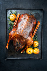 Traditional roasted stuffed Christmas goose with apples and herbs as top view on a rustic metal tray on a board © HLPhoto