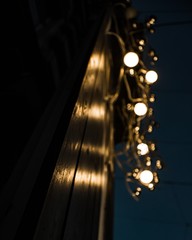 
the lights