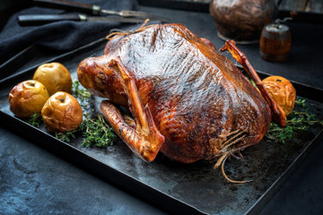 Traditional roasted stuffed Christmas goose with apples and herbs as closeup on a rustic metal tray on a board