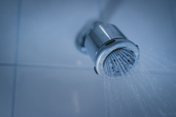 Dirty shower head wirth spraying water out of it. Dirty shower in a bathroom, lime or limestone residue visible around the nozzles.