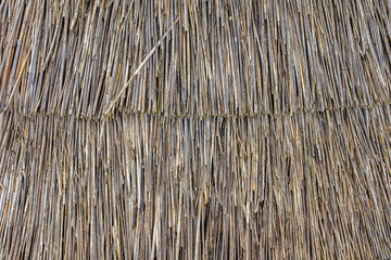 Thatched Roof Detail Texture