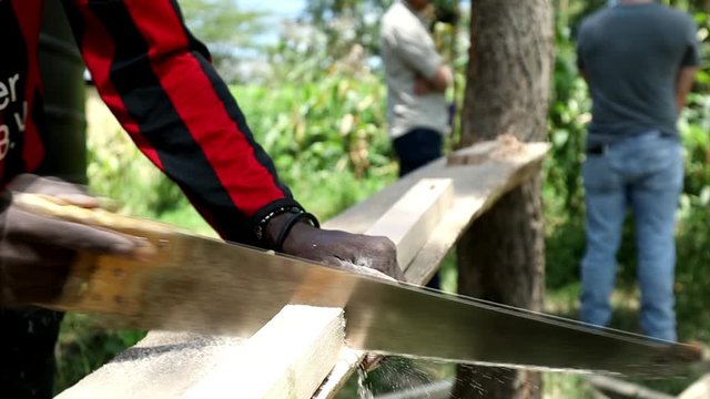 Slow motion, close up view of crosscut saw being used by man in Kenya to cut a piece of lumber to be used in furniture construction project. African man using hand tools outside on sunny day.