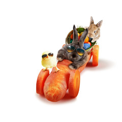 Osterhase unterwegs zum Osterfest!