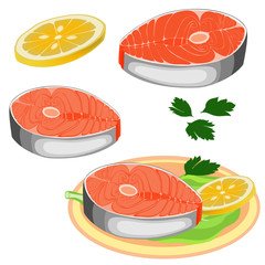 Vector illustration Steak of fish. Cut salmon slice. Steak salmon isolated on white background.