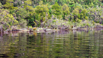 Fototapeta na wymiar Gordon River Tasmania Water Reflections