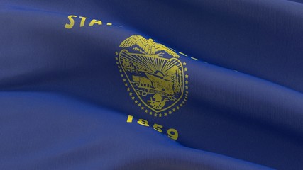 Flags of the states of USA. State of Oregon flag. 3D illustration.