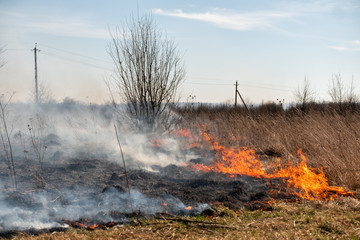 Burning grass in the field