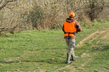 A man with a gun in his hands and an orange vest on a pheasant hunt in a wooded area in cloudy weather. Hunter with dogs in search of game.
