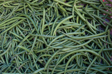 Green Beans, Casablanca Marketplace