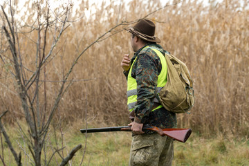 Hunting period, autumn season open. A hunter with a gun in his hands in hunting clothes in the autumn forest in search of a trophy. A man stands with weapons and hunting dogs tracking down the game.