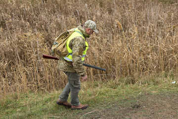 Hunting period, autumn season open. A hunter with a gun in his hands in hunting clothes in the autumn forest in search of a trophy. A man stands with weapons and hunting dogs tracking down the game...