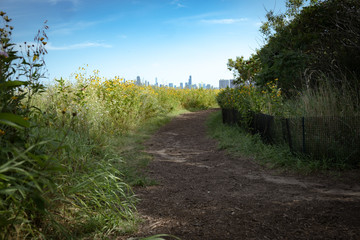 Alone on a path through a nature preserve, far away from the city of Chicago in the background
