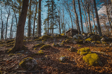 Old army barracks or cottages hiding in the depths of forest at Kocevje or Kocevski rog. Partisan...