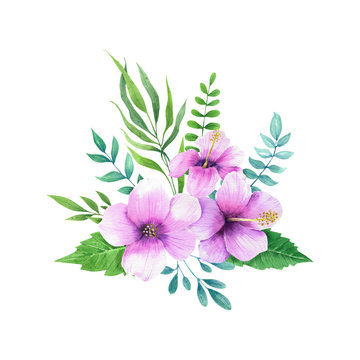 Hibisco flowers arrangement. Hand drawn watercolor tropical flowers isolated on white background.