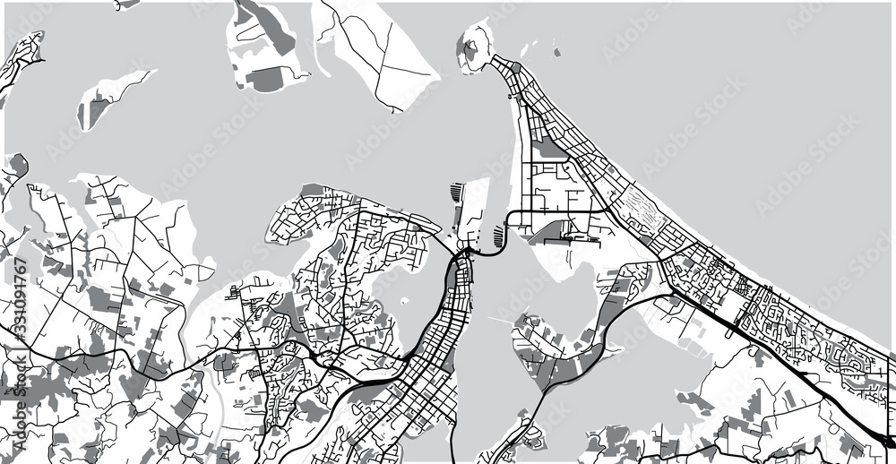 Wall mural Urban vector city map of Tauranga, New Zealand