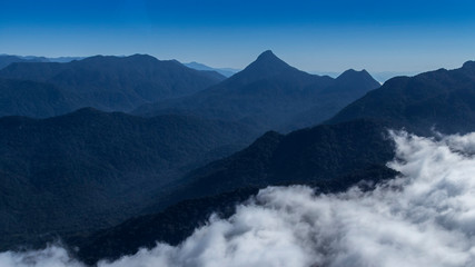 mata Atlântica