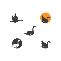 Swan logo