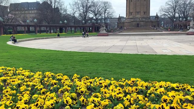 Mannheim, Baden-Wurttemberg/ Germany - March 17 2020: Diagonal slide from yellow flowers to the Wasserturm in Mannheim