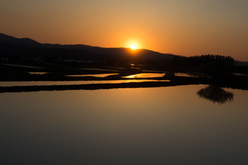 水田に反射する夕陽