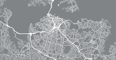 Urban vector city map of Auckland, New Zealand - obrazy, fototapety, plakaty