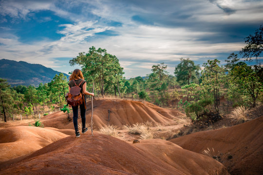 Mujer excursionista caminando en medio del bosque