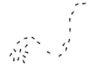Ant icon vector illustration design
