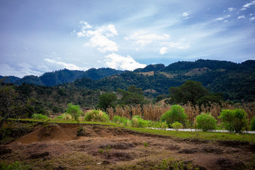 Montañas y plantio de Maiz en MExico